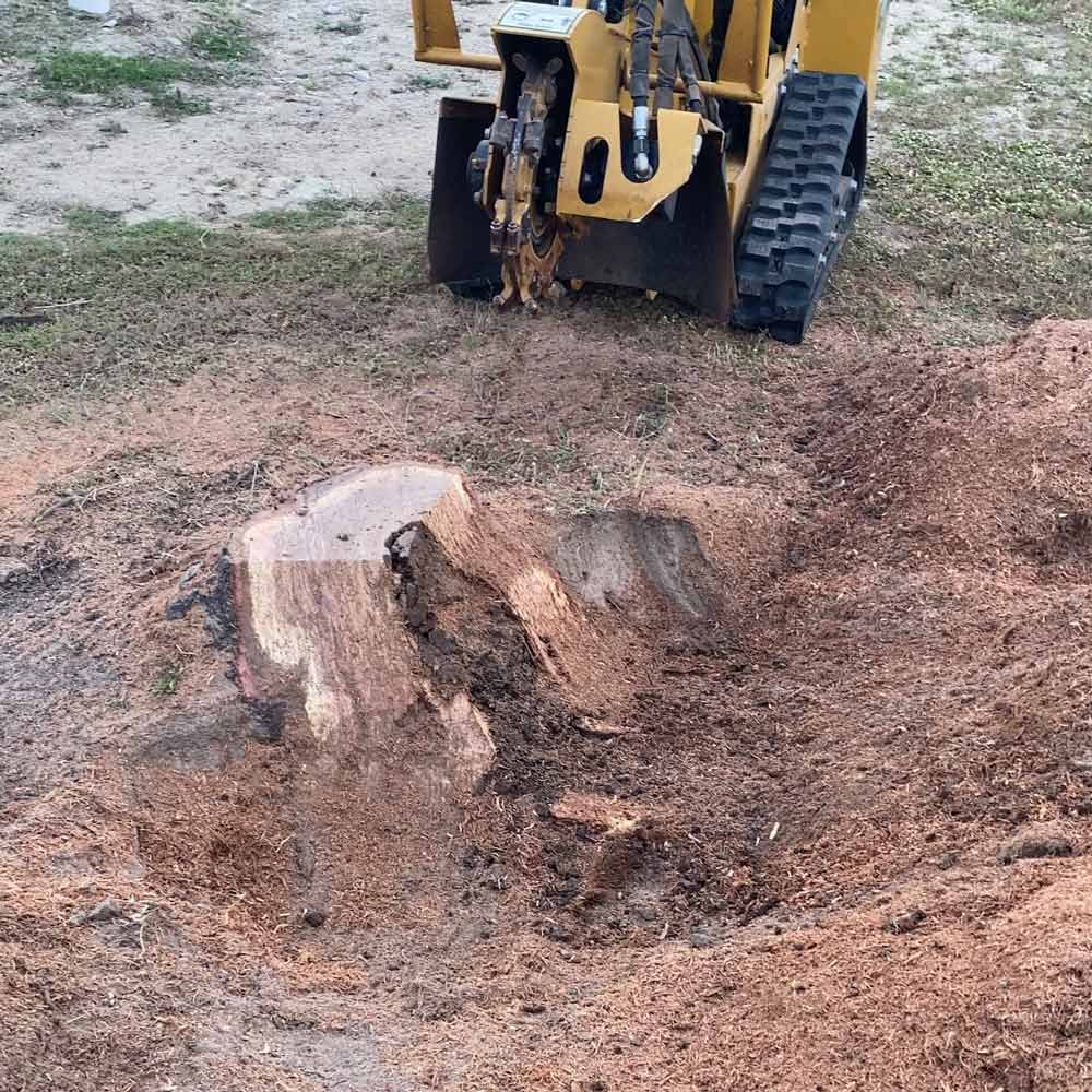 Tree Removal & Stump Grinding Across the North West